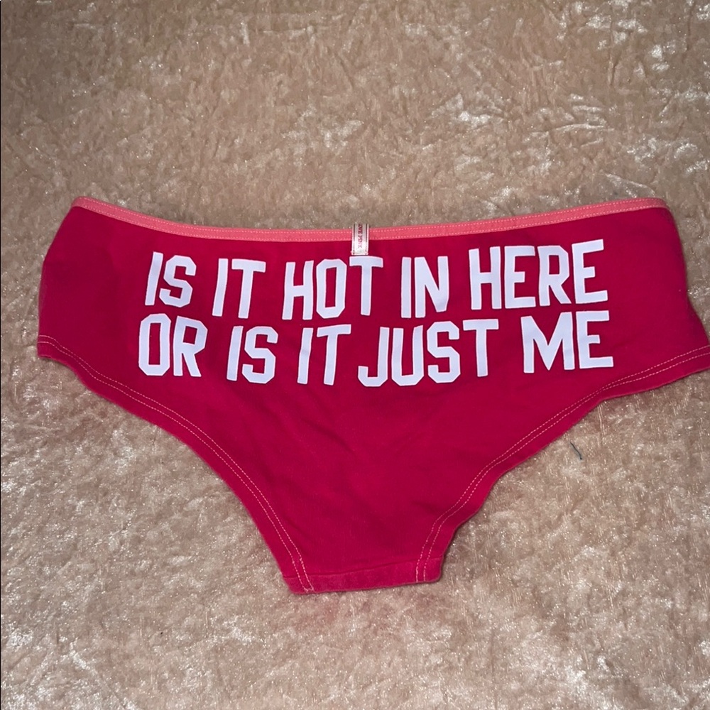 Pink VS Vintage Cheeky Panties